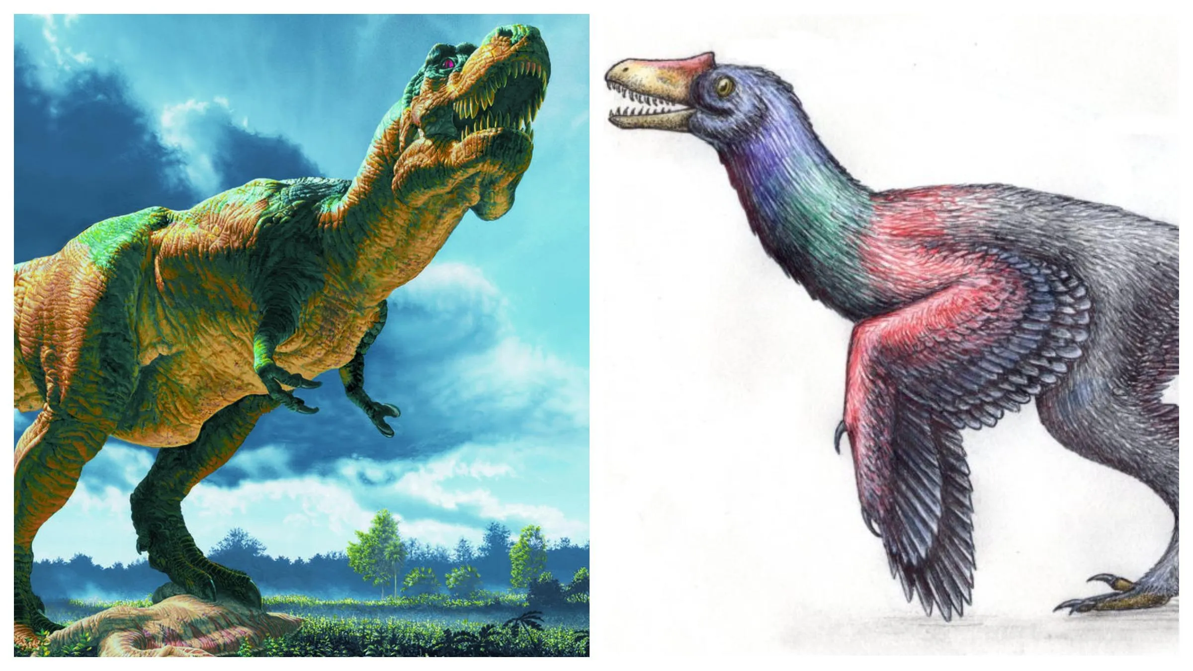 динозавры динозавры