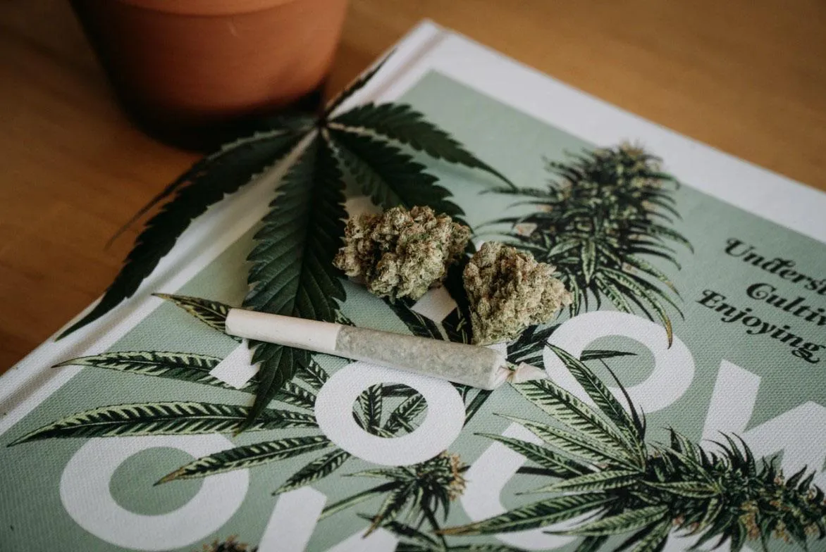 канабіс, Україна канабіс, Україна