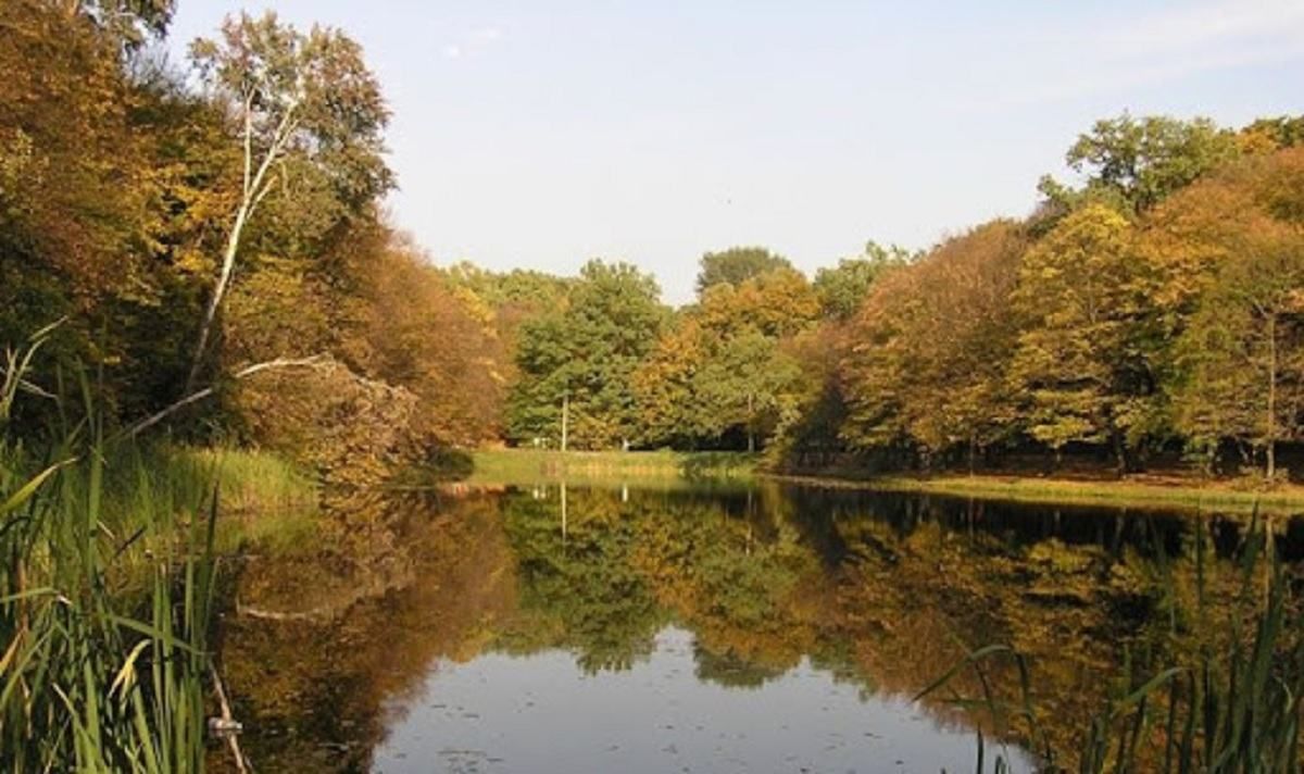 Біля ресторану в Києві знайшли мертвою жінку 22.11.2020 Біля ресторану в Києві знайшли мертвою жінку 22.11.2020