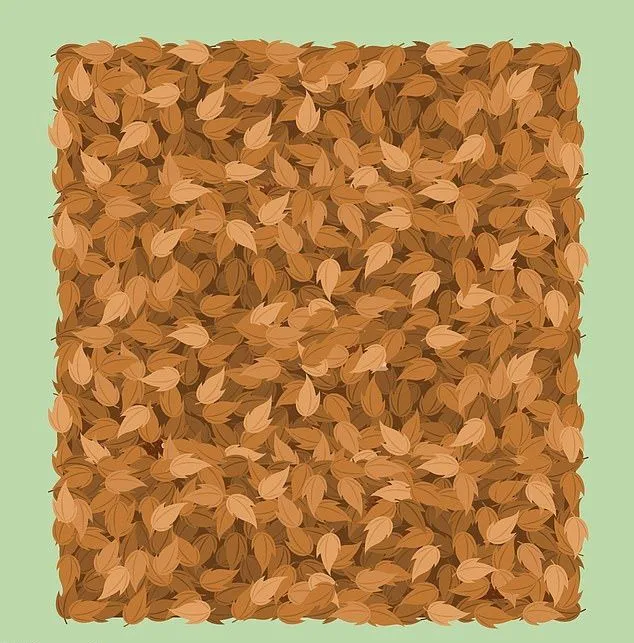 Головоломки Головоломки