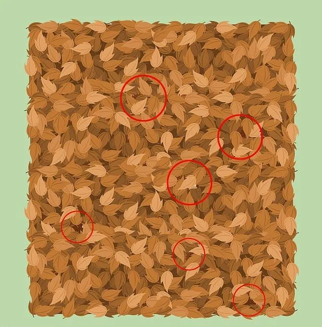 Головоломки Головоломки