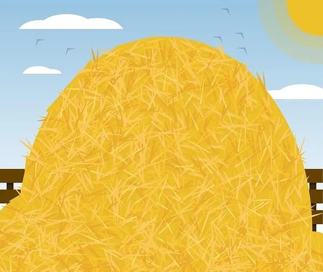 Головоломки Головоломки