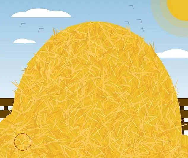 Головоломки Головоломки