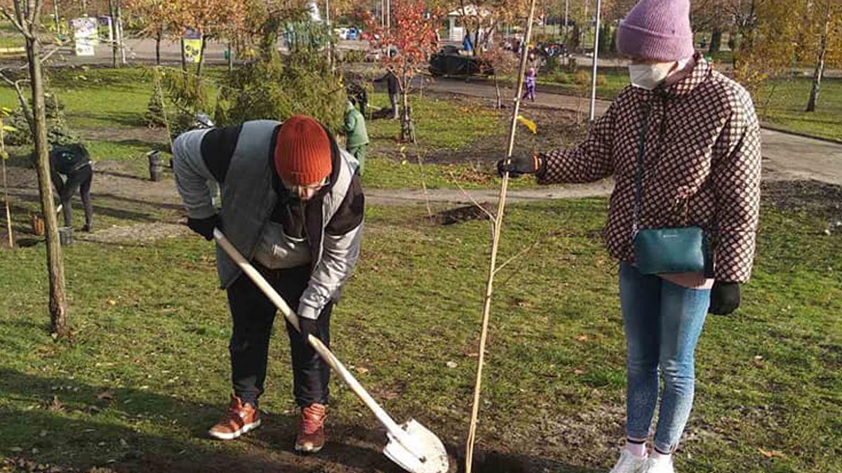 В Киеве на Позняках посадили сакуру