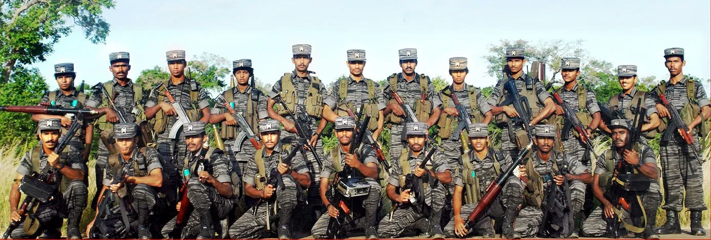 чорні тигри чорні тигри