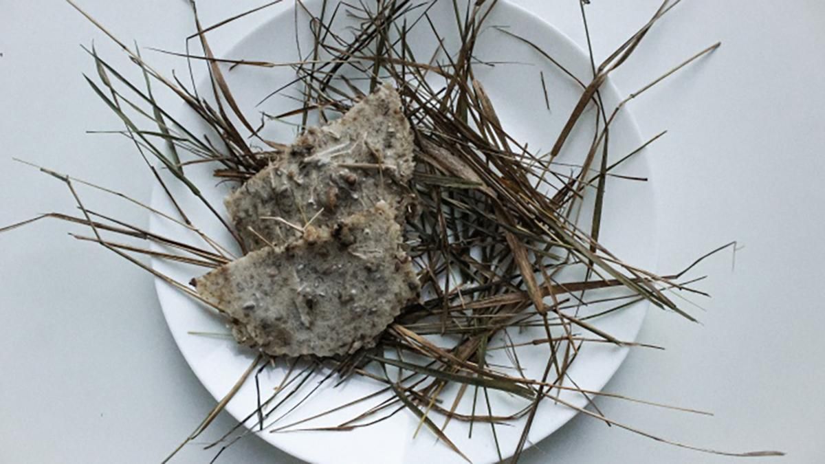 В Україні створили онлайн-ресторан зі стравами часів Голодомору В Україні створили онлайн-ресторан зі стравами часів Голодомору