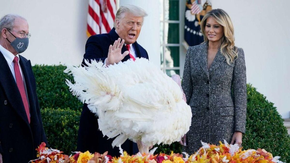 Трамп помиловал индейку накануне Дня благодарения - фото, видео 