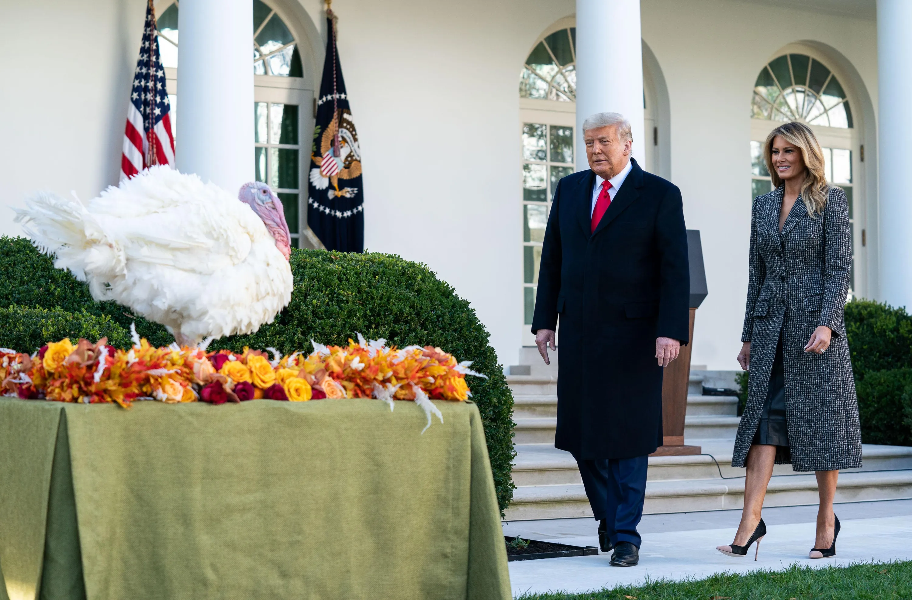 Меланія Трамп Меланія Трамп