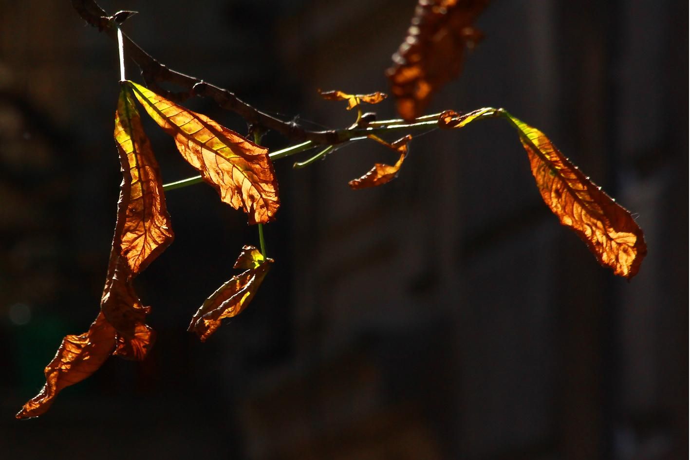 Погода 26 ноября 2020: прогноз от синоптиков Украины Погода 26 ноября 2020: прогноз от синоптиков Украины