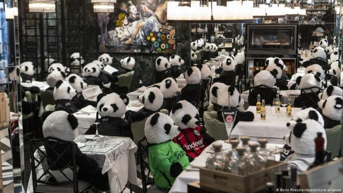 Панда-мія: у німецькому ресторані протестують проти локдауна