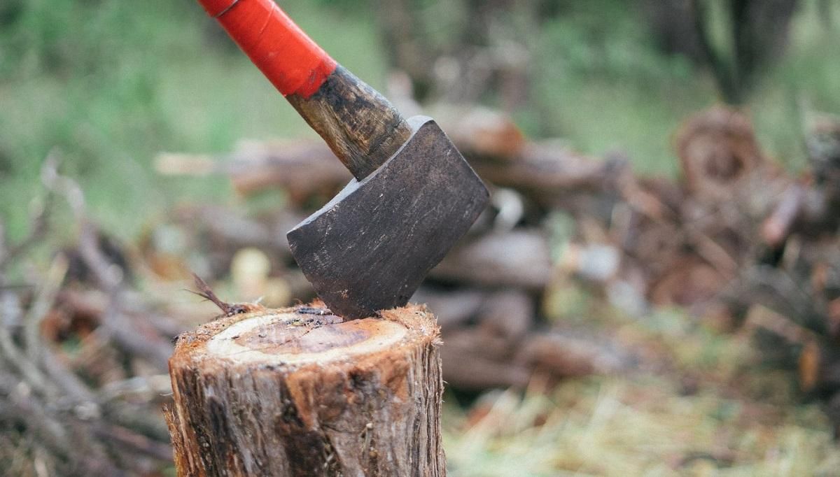Поки політики маніпулюють екотематикою, влада ігнорує найбільш гострі проблеми, – активісти Поки політики маніпулюють екотематикою, влада ігнорує найбільш гострі проблеми, – активісти