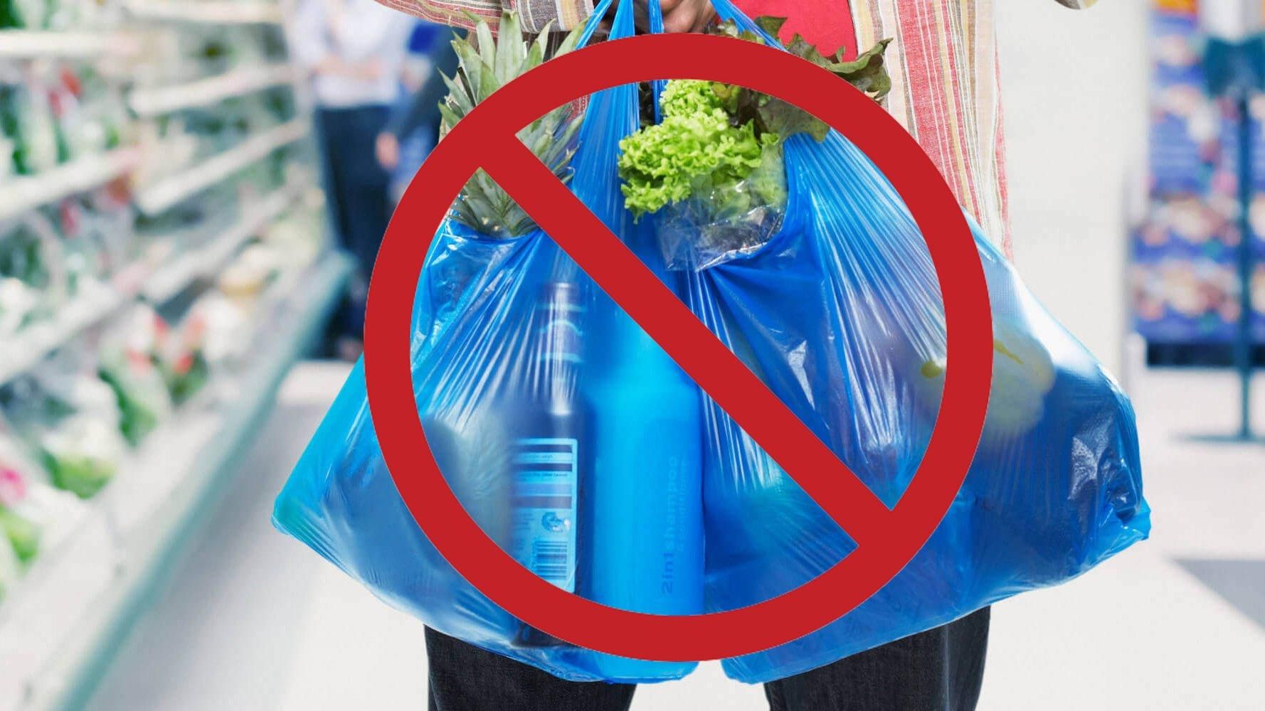 Коли Німеччина відмовиться від пластикових пакетів: рішення уряду