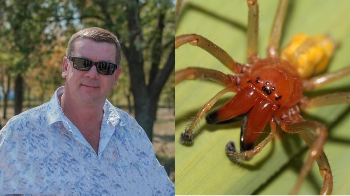 У Дніпрі ветерана Афганістану вкусив павук: йому ампутували ноги У Дніпрі ветерана Афганістану вкусив павук: йому ампутували ноги