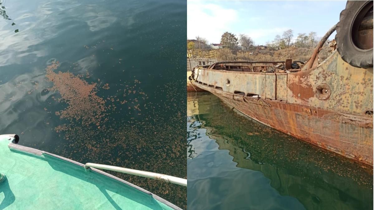 Розлив нафти у Чорному морі: поліція почала розслідування Розлив нафти у Чорному морі: поліція почала розслідування