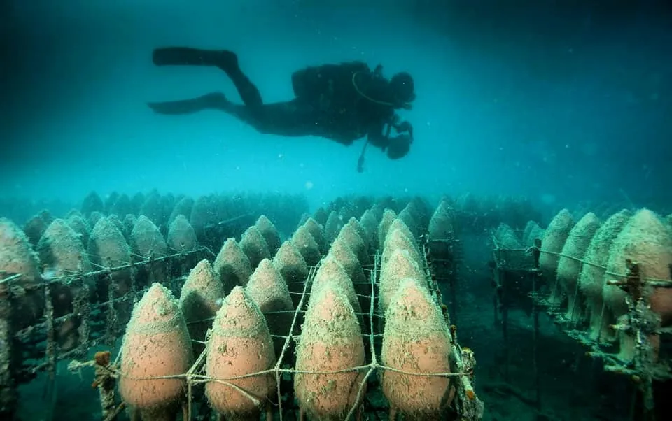 Амфори з вином близько 2 років зберігають на дні біля узбережжя півострова Пелещац Амфори з вином близько 2 років зберігають на дні біля узбережжя півострова Пелещац
