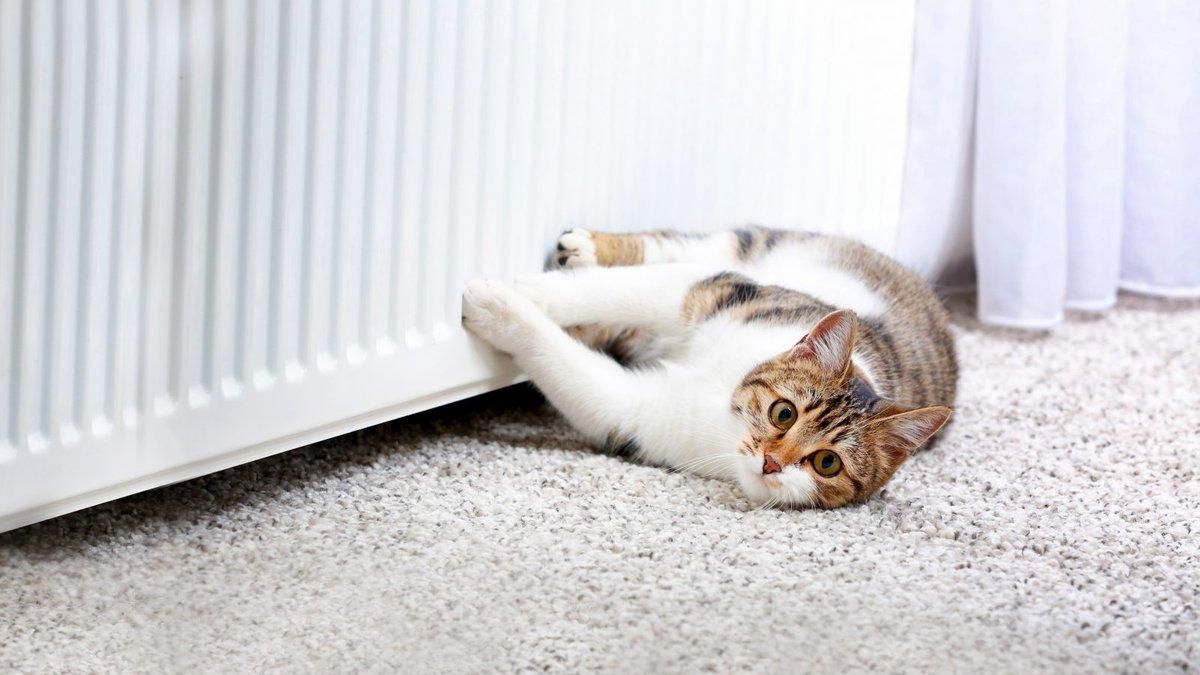 В Олешках на Херсонщине 30 многоэтажек остались без тепла В Олешках на Херсонщине 30 многоэтажек остались без тепла