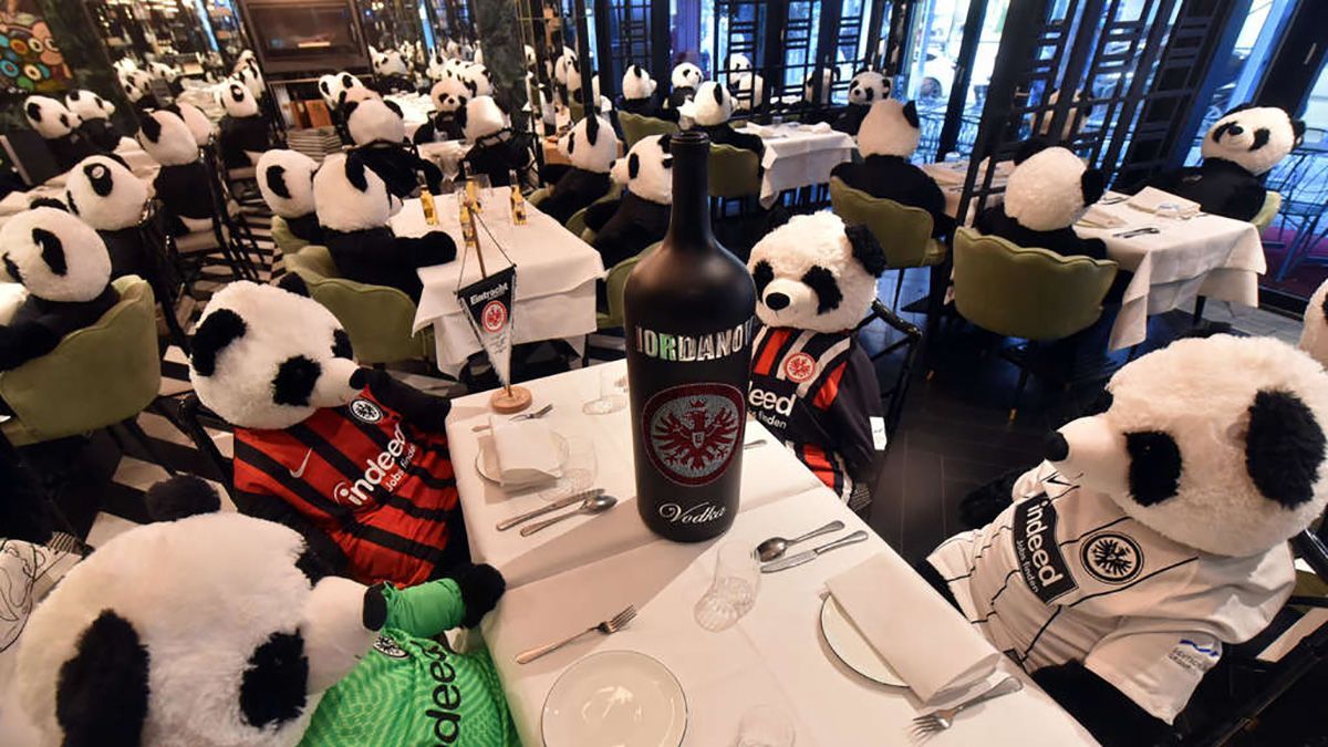 Плюшевые панды в ресторане: креативный протест в Германии – видео