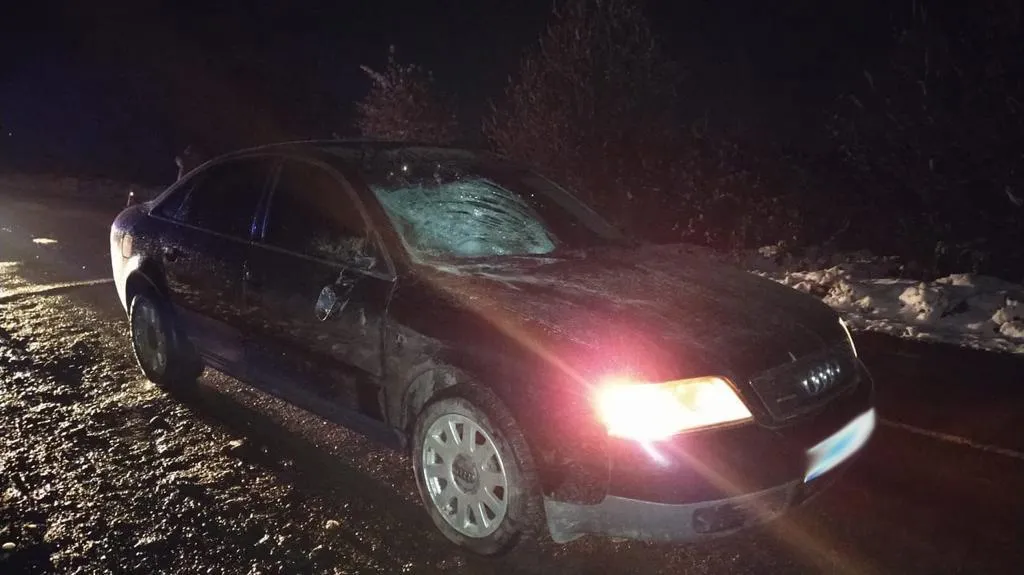 На Львівщині п'яний водій на смерть збив жінку: фото