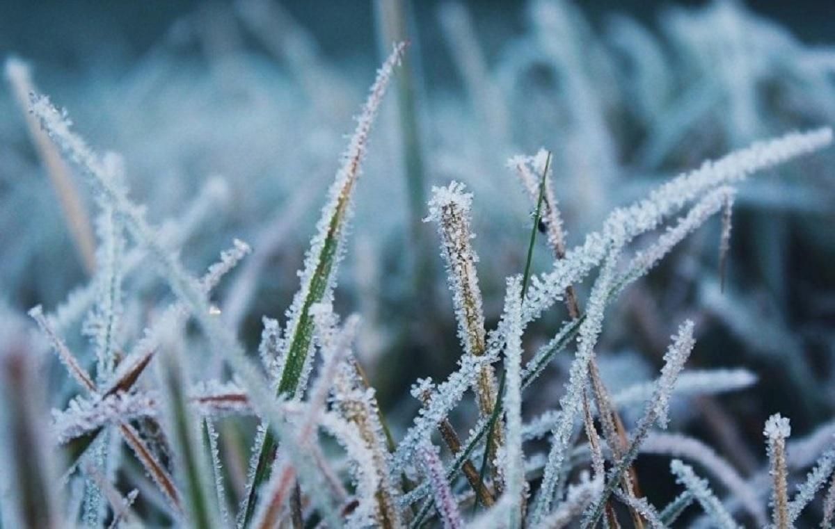 Мороз до -11 градусов: где будет холоднее всего 01.12.2020 Мороз до -11 градусов: где будет холоднее всего 01.12.2020