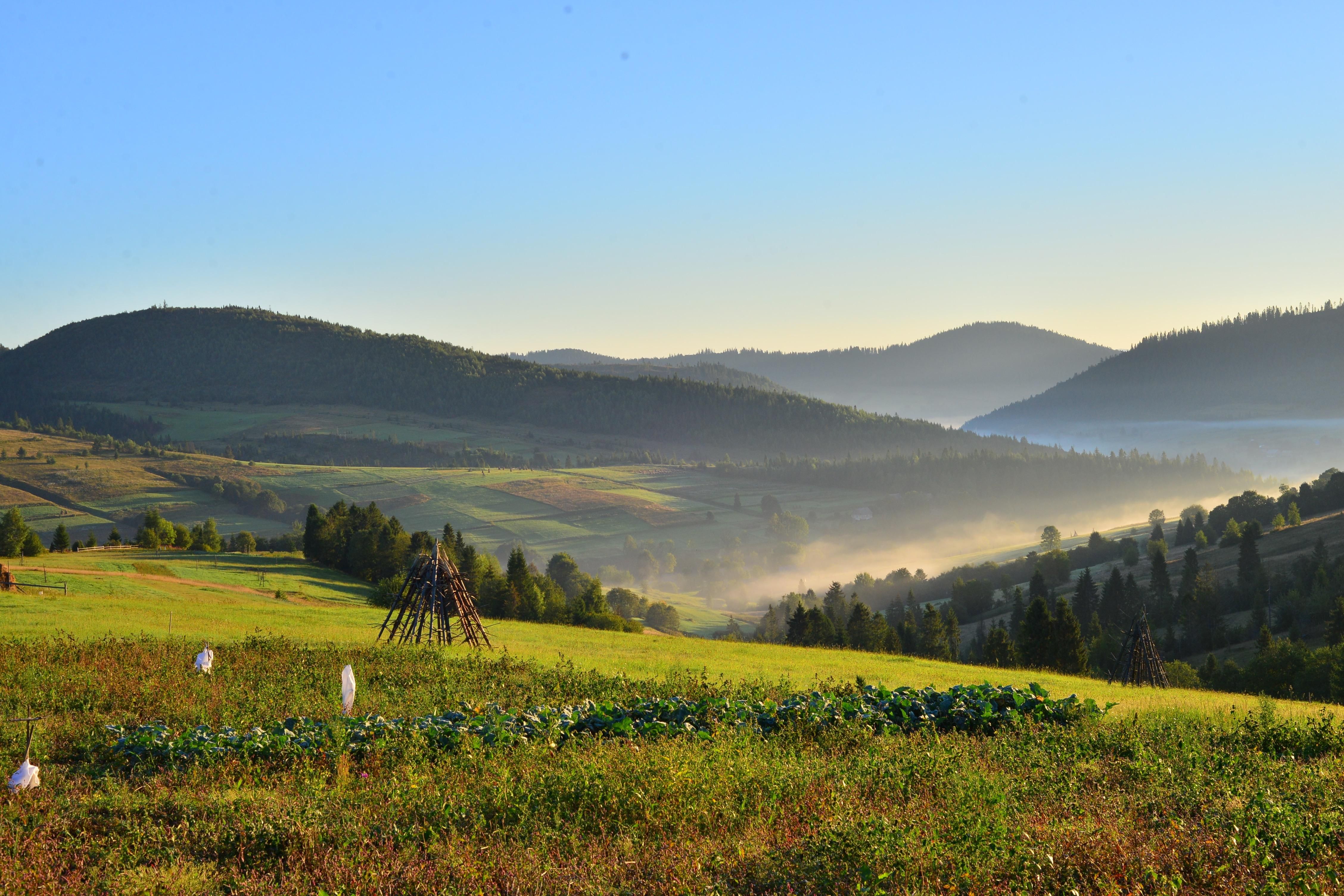 В Украине появится национальный парк Королевские Бескиды В Украине появится национальный парк Королевские Бескиды