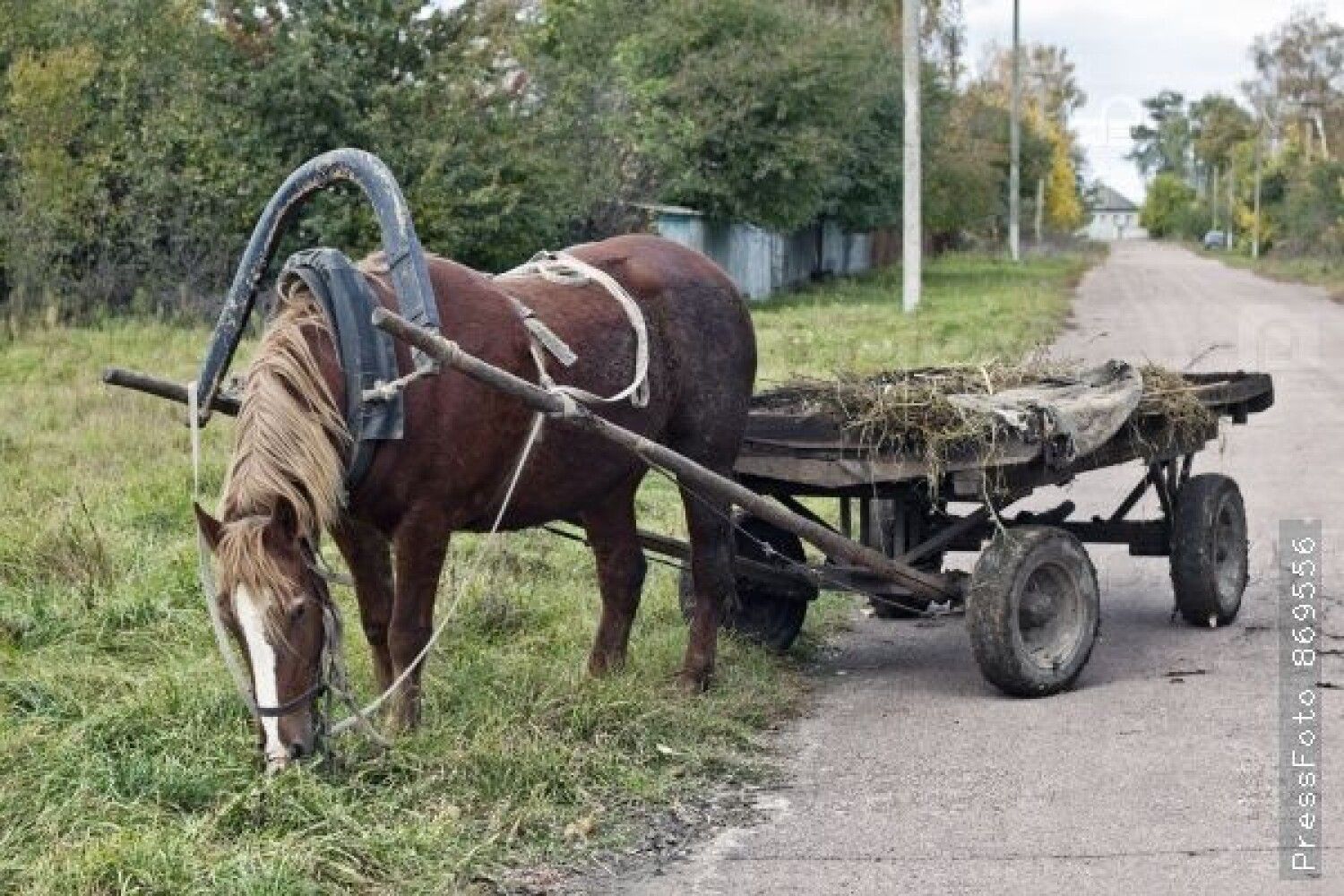 На Львівщині чоловік загинув під колесами власного возу: фото