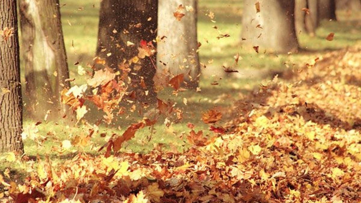 Ноября в Киеве был теплее климатической нормы - Киев Ноября в Киеве был теплее климатической нормы - Киев