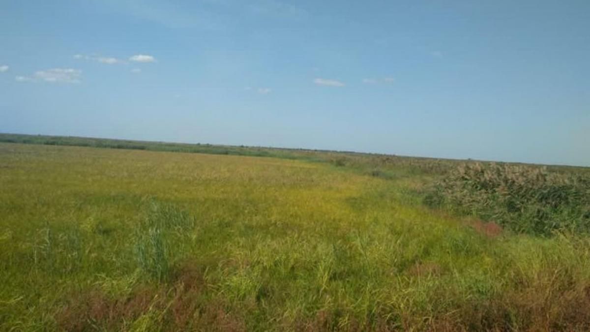 На Одещині підприємці намагалися привласнити землі на 80 мільйонів На Одещині підприємці намагалися привласнити землі на 80 мільйонів