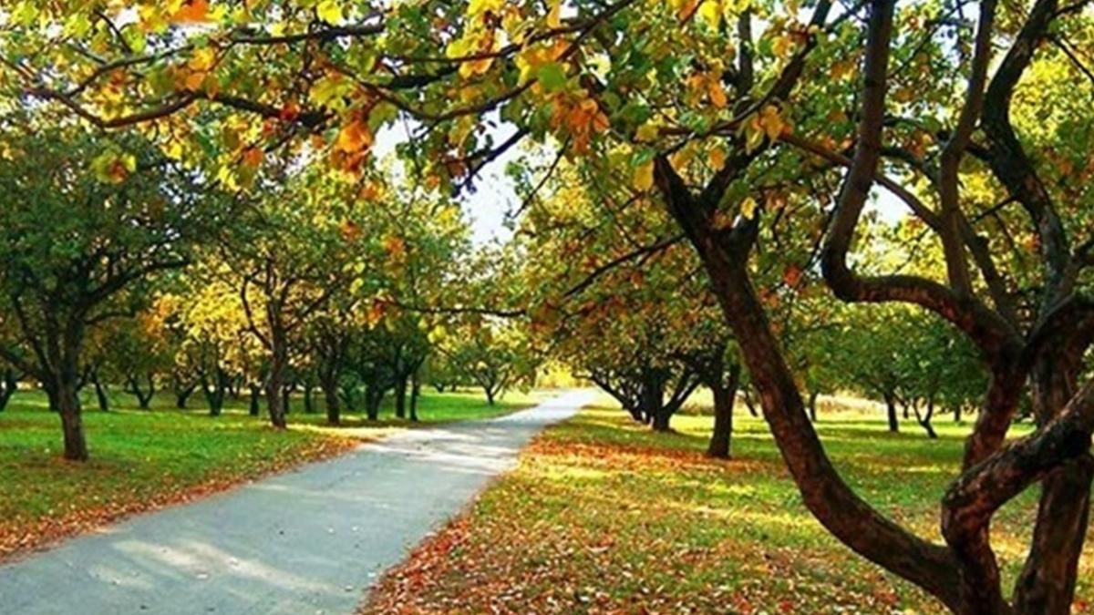 Осень в Киеве стала самой теплой за 140 лет Осень в Киеве стала самой теплой за 140 лет