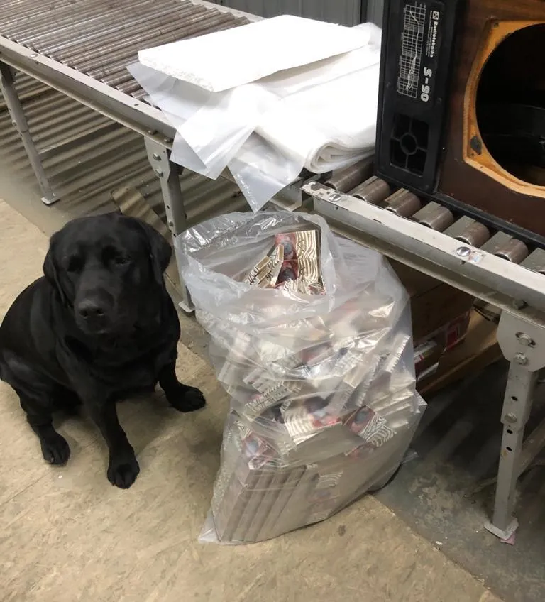 Знайшов 500 пачок цигарок: службовий пес допоміг знайти контрабанду – фото
