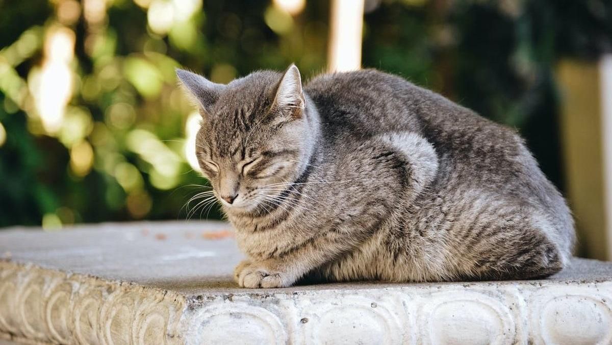 Погода 7 грудня 2020: прогноз від синоптиків України Погода 7 грудня 2020: прогноз від синоптиків України