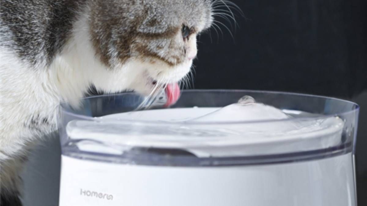 Xiaomi выпустила умную поилку для животных Xiaomi выпустила умную поилку для животных