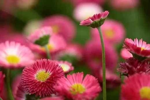 Знімання 4К Знімання 4К