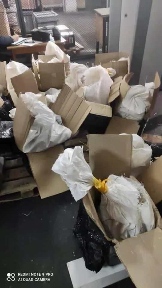 Замаскували каміння під одяг Замаскували каміння під одяг