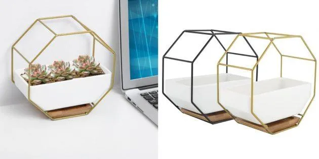 Квітковий горщик Квітковий горщик