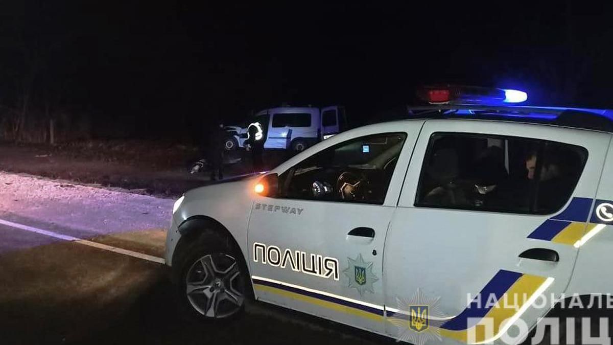 На Одещині сталась смертельна ДТП: загинув водій Opel та кінь На Одещині сталась смертельна ДТП: загинув водій Opel та кінь