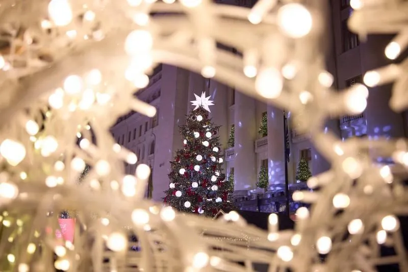 Ялинка біля Офісу Президента