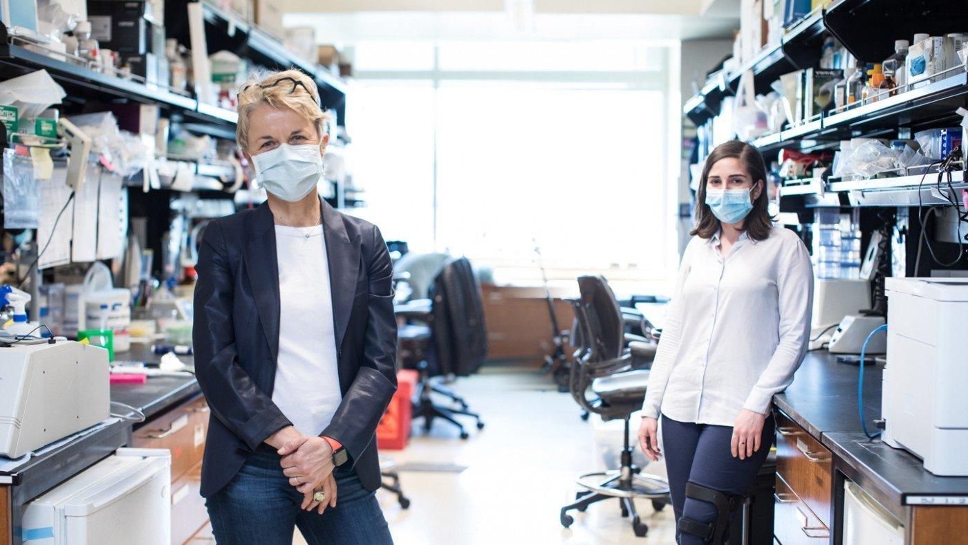 CRISPR-тест определяет COVID-19 за 5 минут с помощью смартфона CRISPR-тест определяет COVID-19 за 5 минут с помощью смартфона