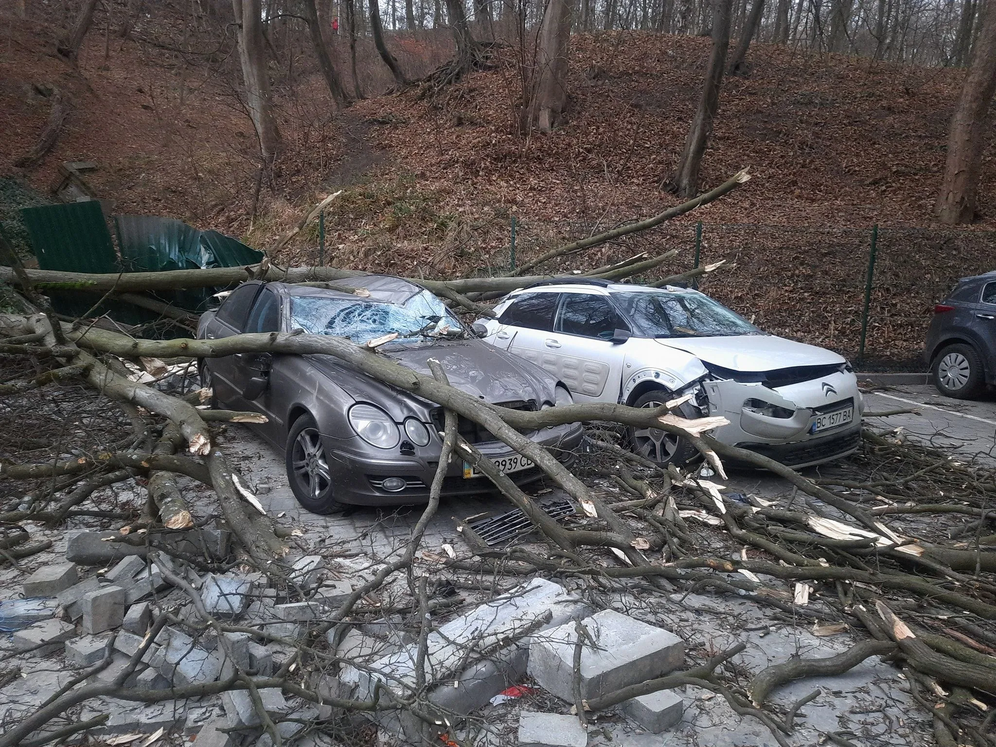 Буревій зламав дерево у парку 