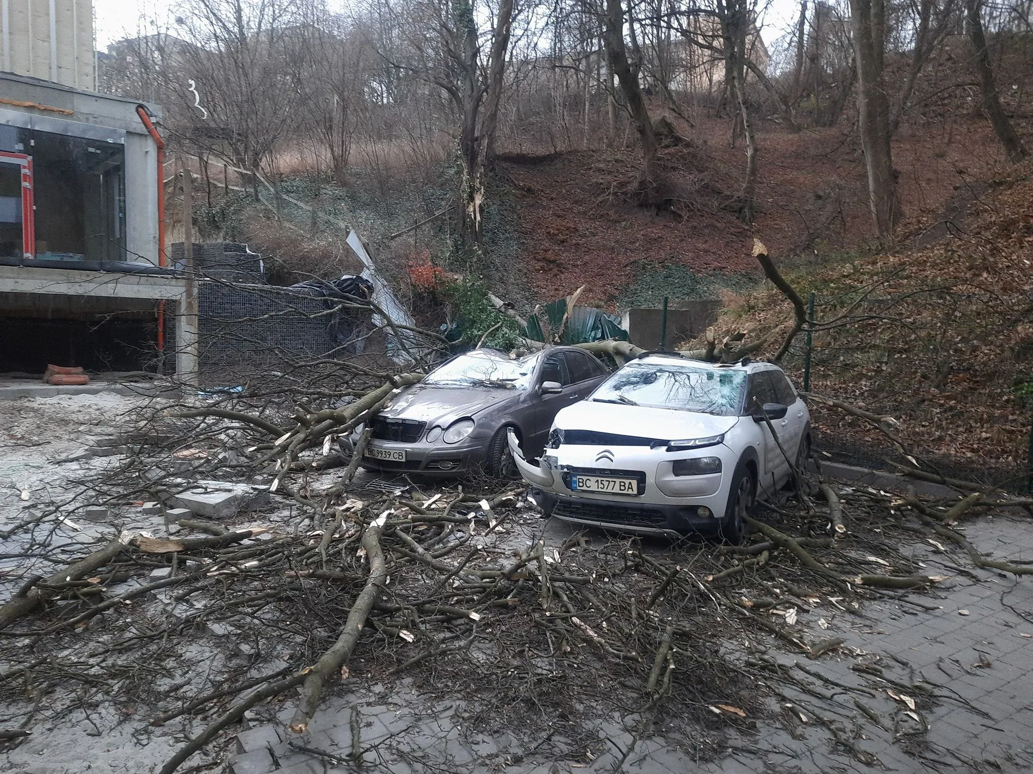 Зламані гілки пошкодили Renault Trafic та Mazda 