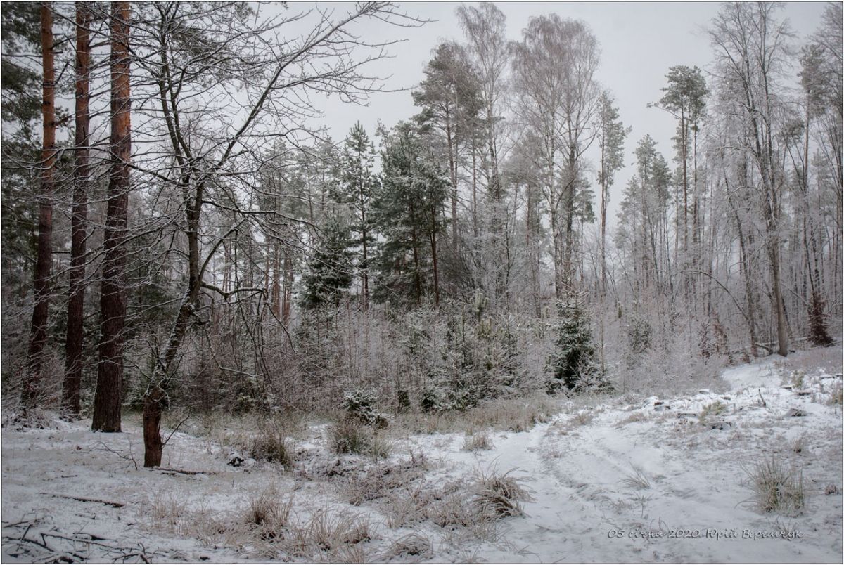 Під Житомиром 12-річний хлопчик заблукав у лісі та провів там усю ніч Під Житомиром 12-річний хлопчик заблукав у лісі та провів там усю ніч