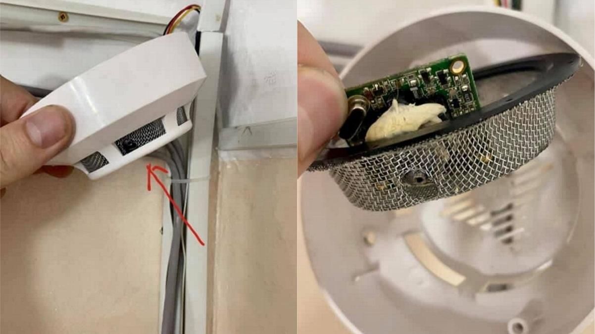 Мер Білгород-Дністровського знайшов приховані камери в кабінеті: фото Мер Білгород-Дністровського знайшов приховані камери в кабінеті: фото