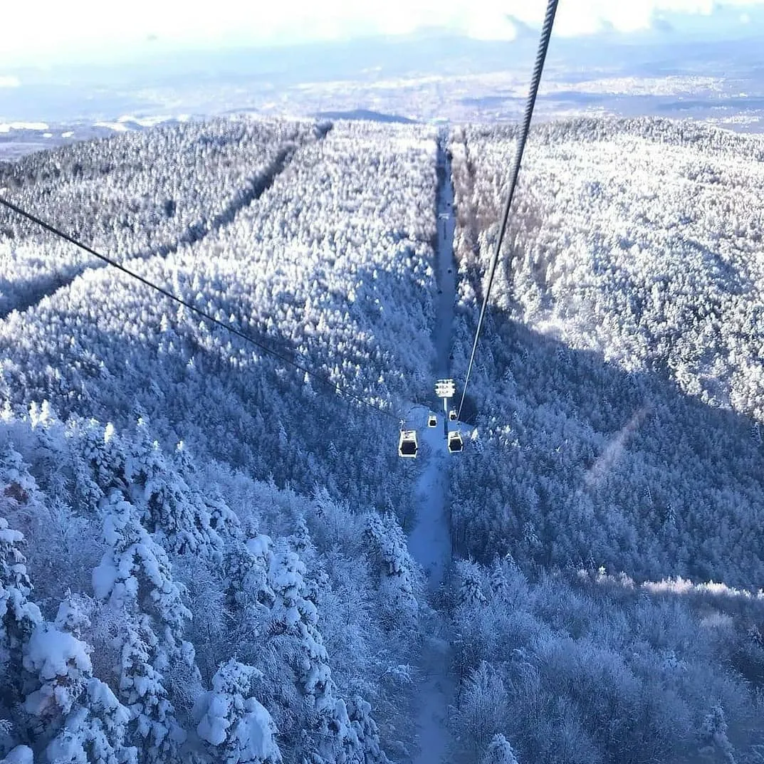 Куди поїхати на лижі в Туреччині Куди поїхати на лижі в Туреччині