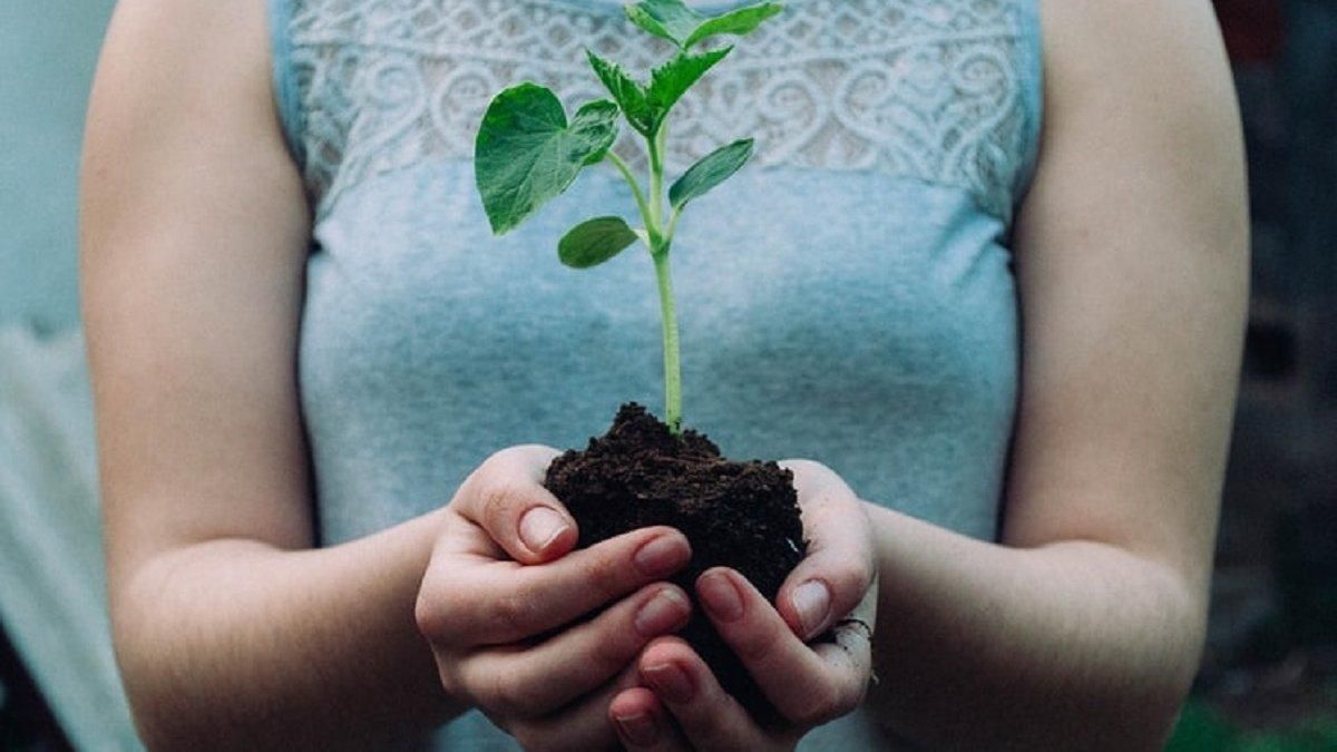 В Украине набирают обороты проплаченные митинги: как "хайпуют" псевдоактивисты В Украине набирают обороты проплаченные митинги: как "хайпуют" псевдоактивисты