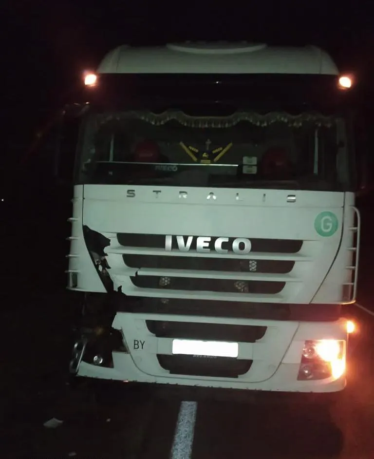 На Львівщині білоруська вантажівка на смерть збила чоловіка: фото