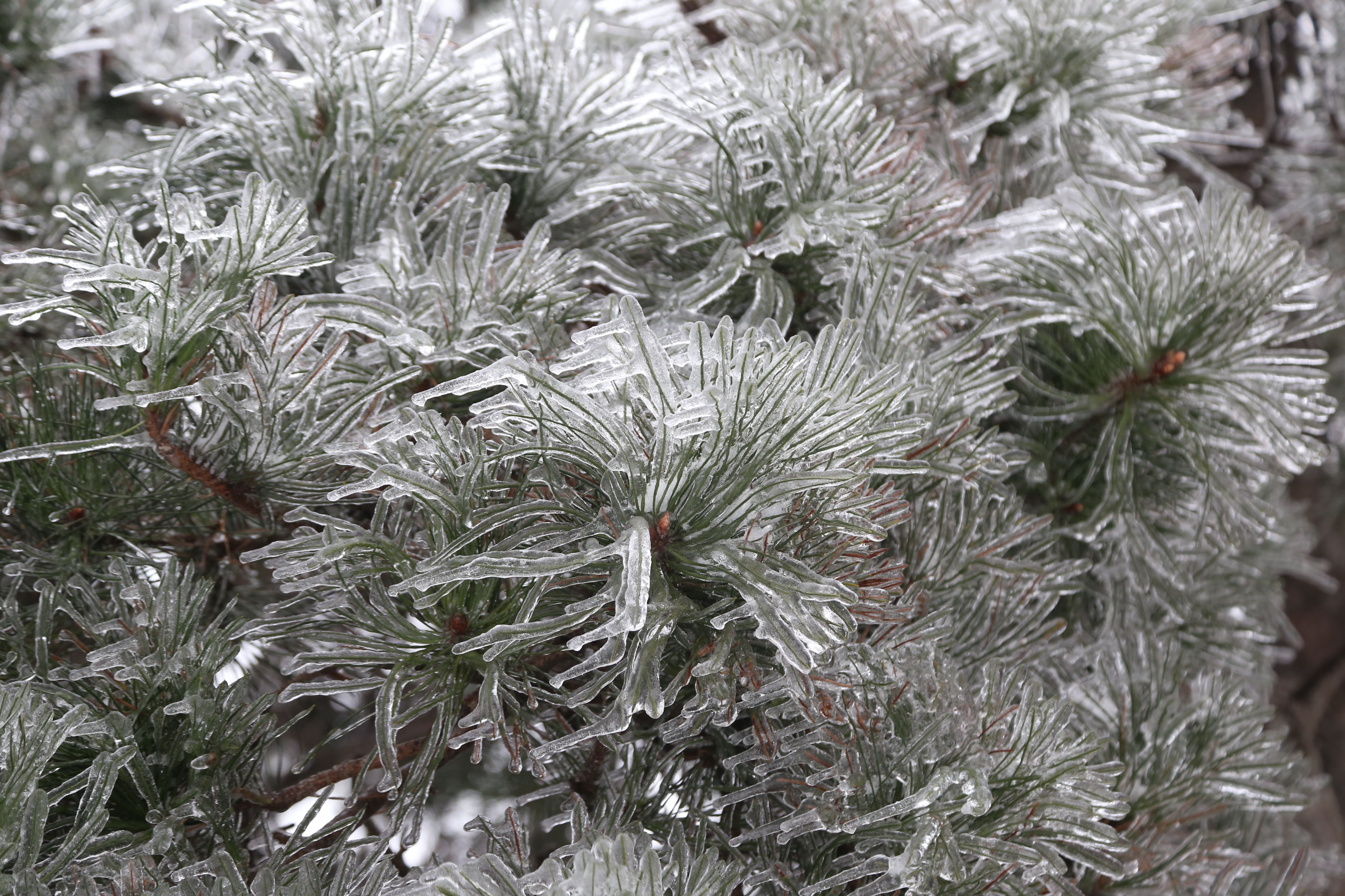 С неба может падать ледяной дождь: Украину накроет циклон Yvonne С неба может падать ледяной дождь: Украину накроет циклон Yvonne