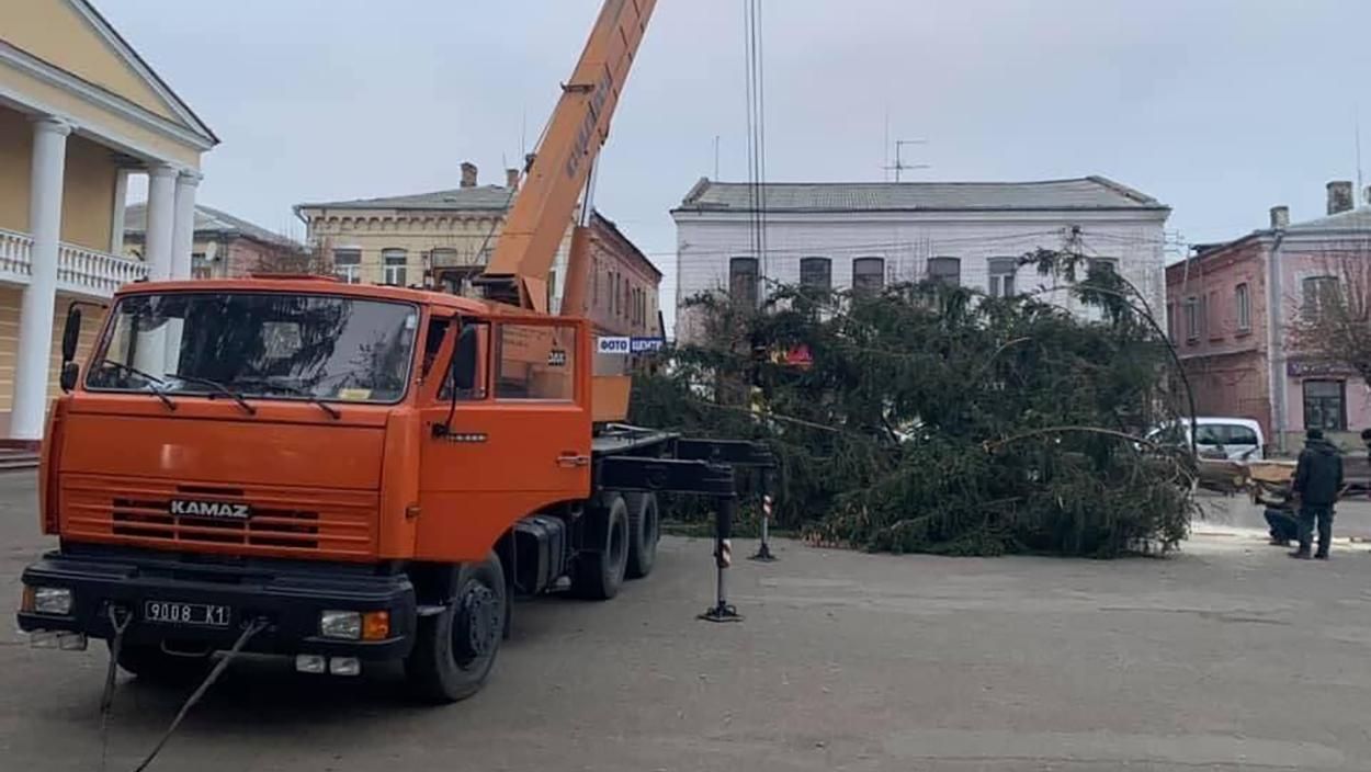 В Дубно встановили новорічну ялинку з цвинтаря: фото