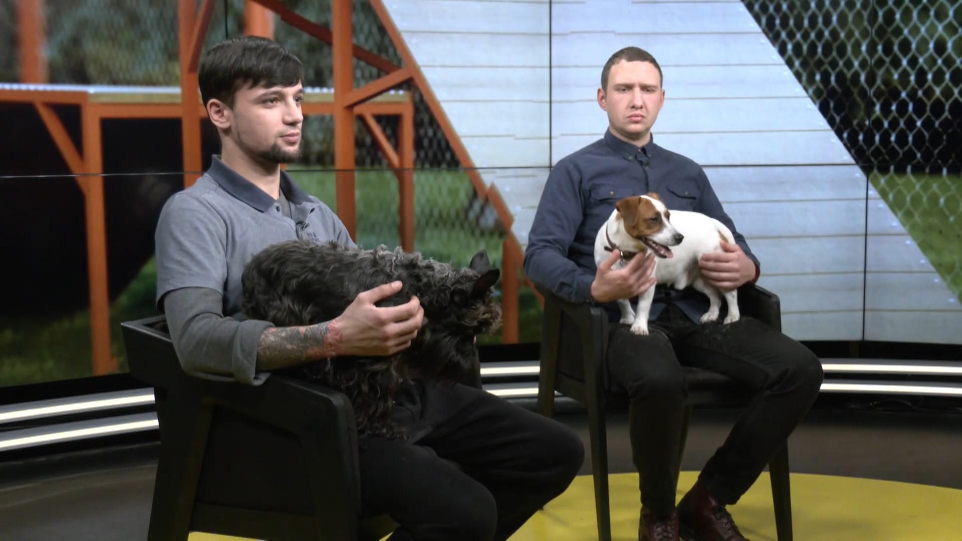 Як пояснити собаці, що господар – ти: інтерв'ю з кінологами Як пояснити собаці, що господар – ти: інтерв'ю з кінологами