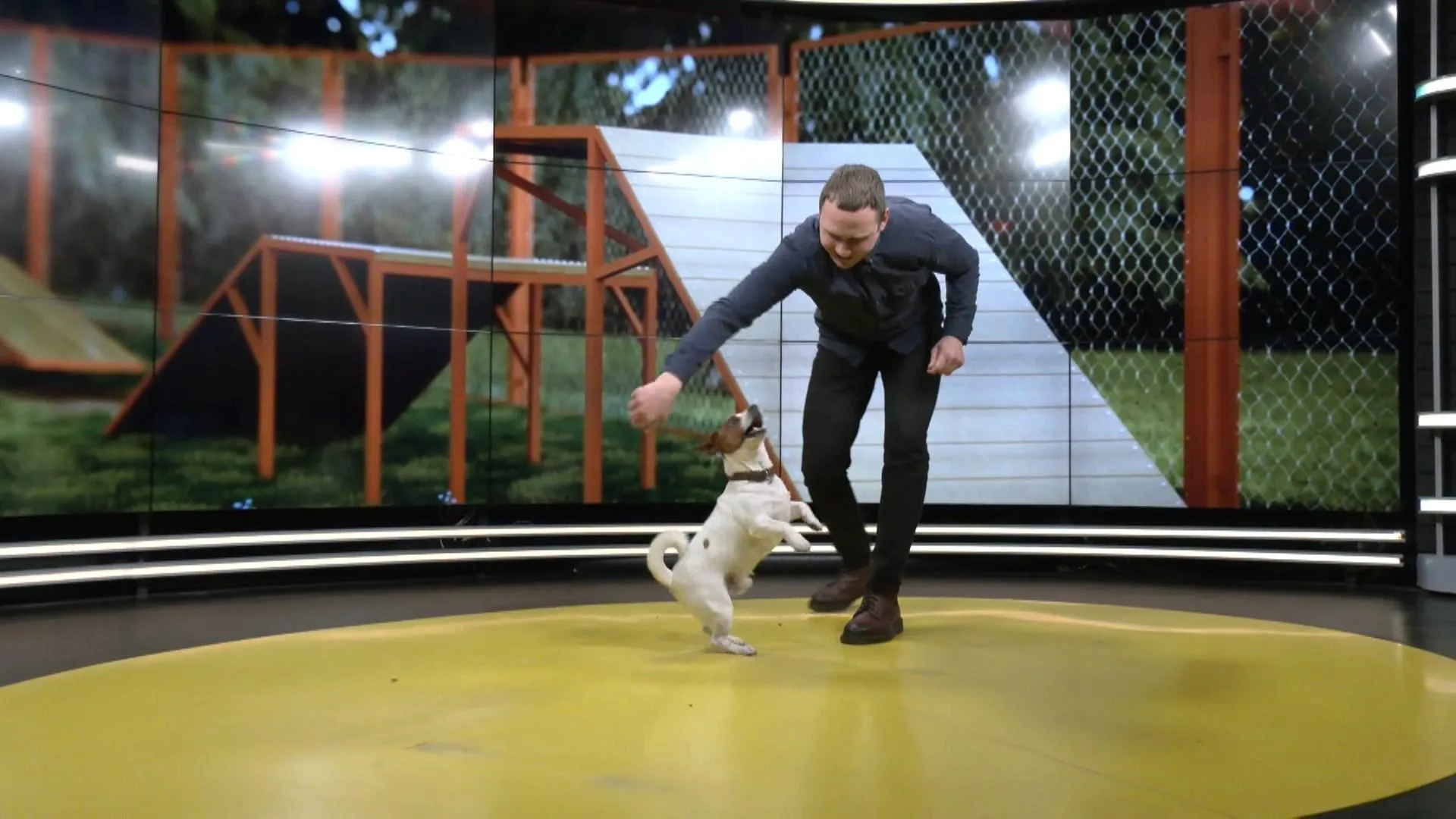 дрисерування дрисерування