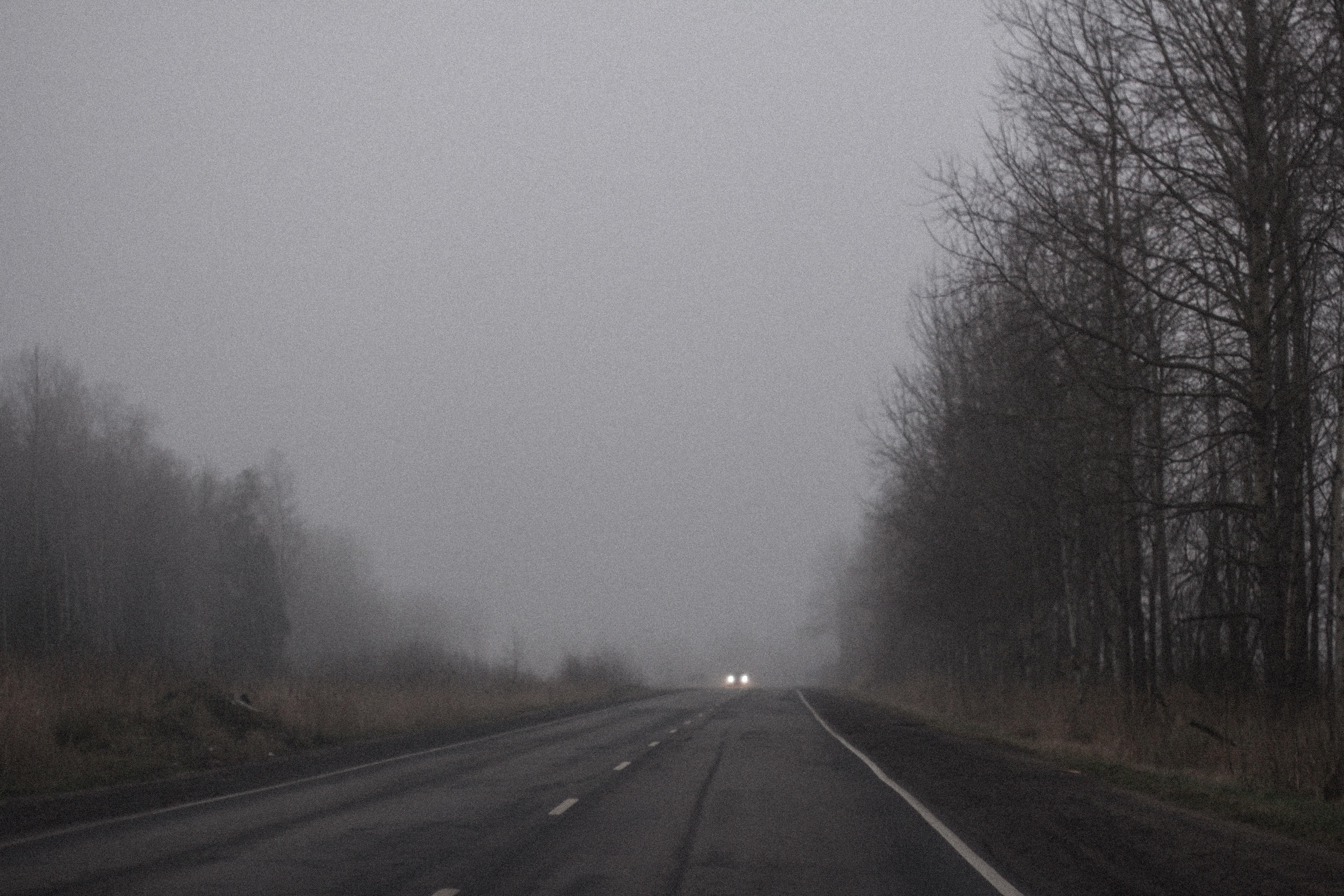 Туман в Україні 12 –13 грудня 2020: де погіршиться погода Туман в Україні 12 –13 грудня 2020: де погіршиться погода