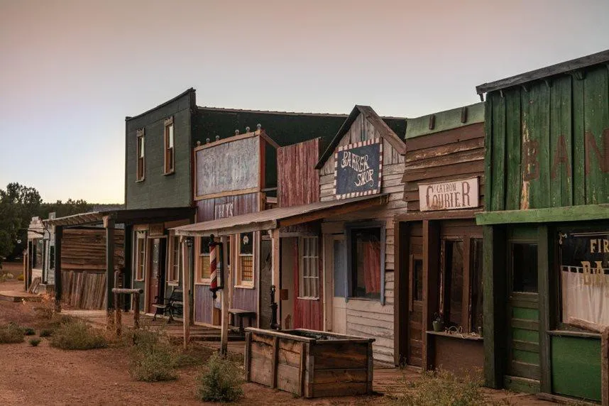 Дивовижні будинки ніби занурюють  Wild West / Фото New York Post